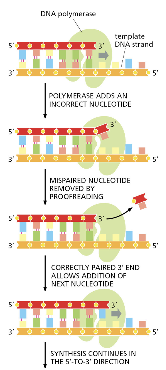 Figure 5-8.png